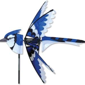 vire vent geai bleu