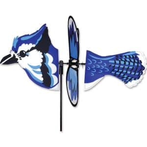 vire vent geai bleu petit